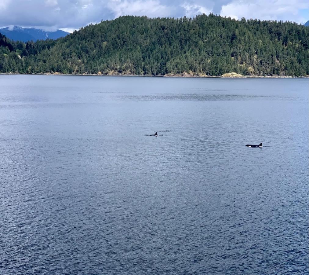 Bed and Breakfast Earls Cove Orca View Egmont Esterno foto