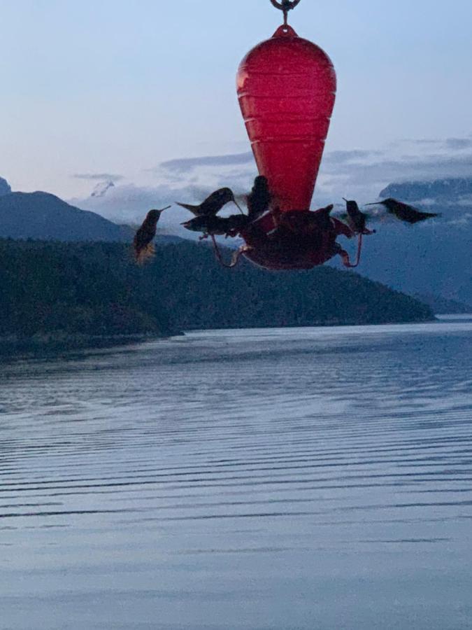 Bed and Breakfast Earls Cove Orca View Egmont Esterno foto
